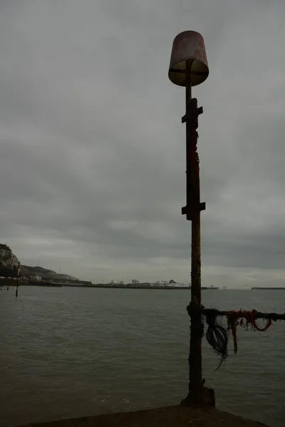 DSC_1266 (Large).JPG